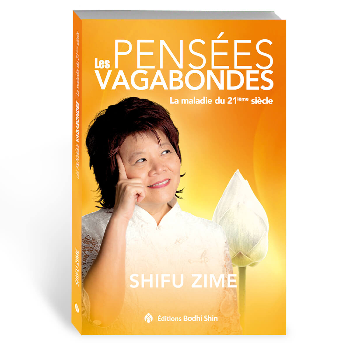 Livre Les Pensées Vagabondes - la maladie du 21 ème siècle